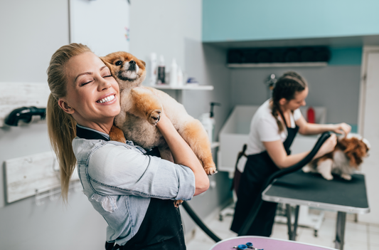 5 Reasons to Consider Grooming as a Career