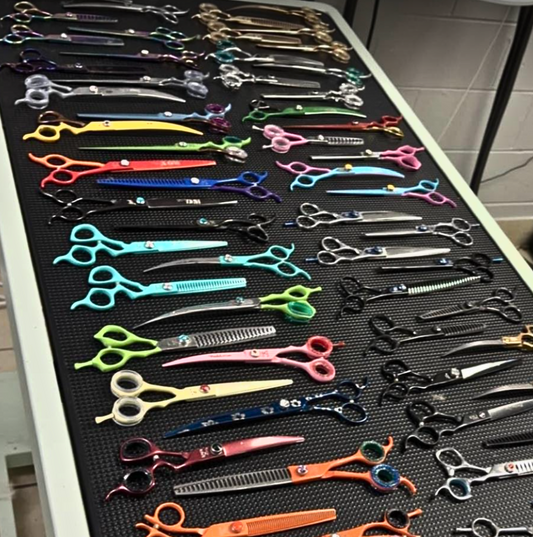 5 Reasons to Join Scissor of the Month Club (Hint: FREE Shear is Reason #1)