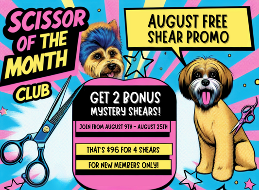 Why SOTMC is a Must-Join for Groomers: Limited-Time Summer Promo! ✂️🐾