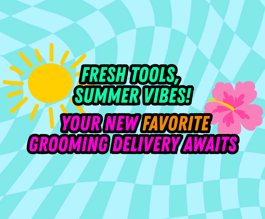 The ULTIMATE Summer Subscription Lineup for Groomers ☀️ The ULTIMATE Summer Subscription Lineup for Groomers ☀️