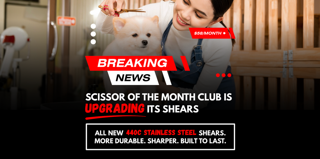 Scissor of the Month Club Just Got Better: 440C Shears for $58/Month