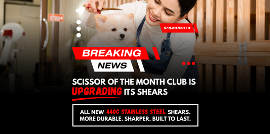 Scissor of the Month Club Just Got Better: 440C Shears for $58/Month