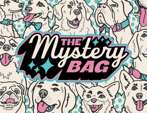 MYSTERY BAG- Brand New Shear + Accessory