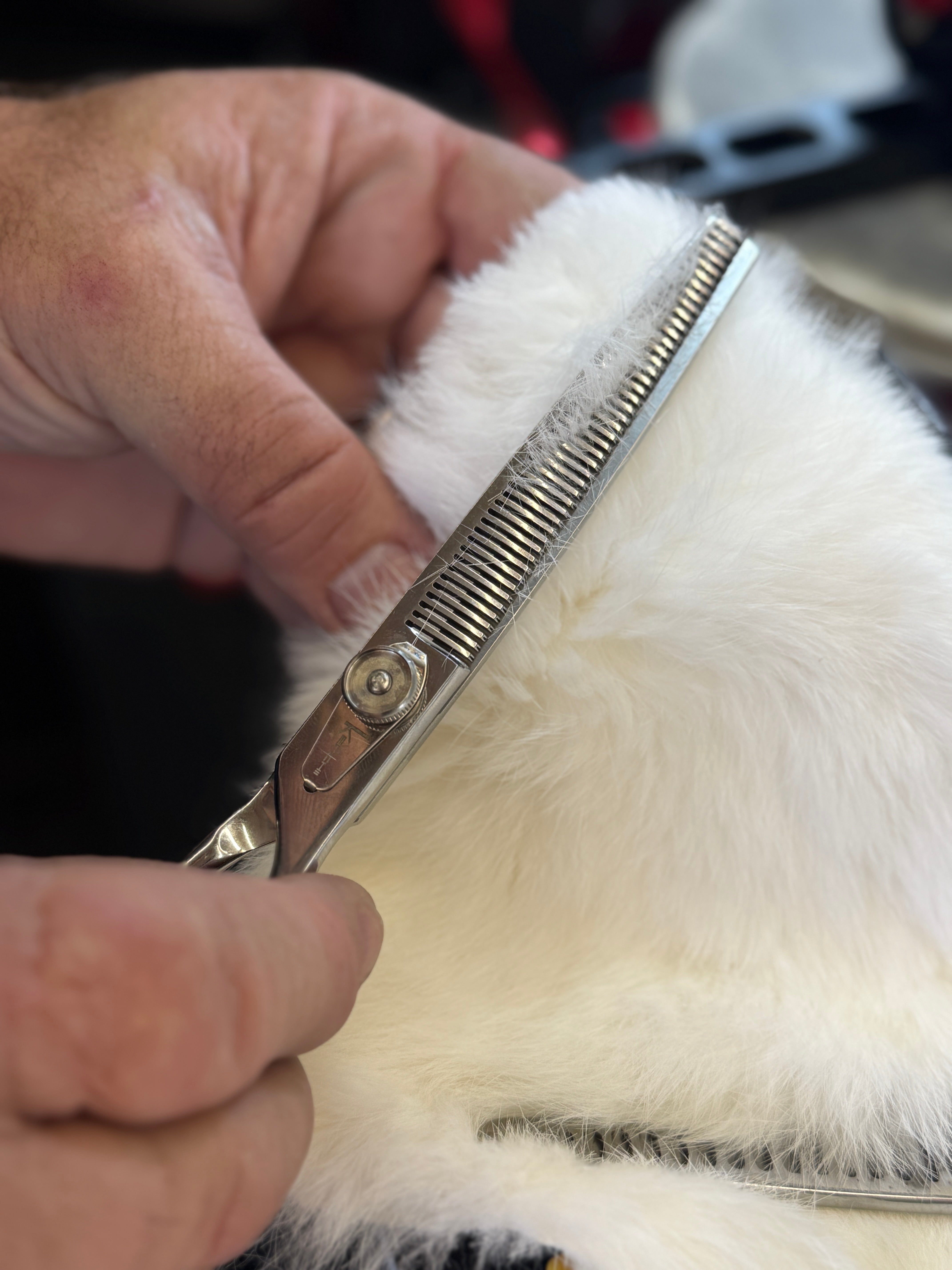 Shear Sharpening- Foxy Roxy Shears
