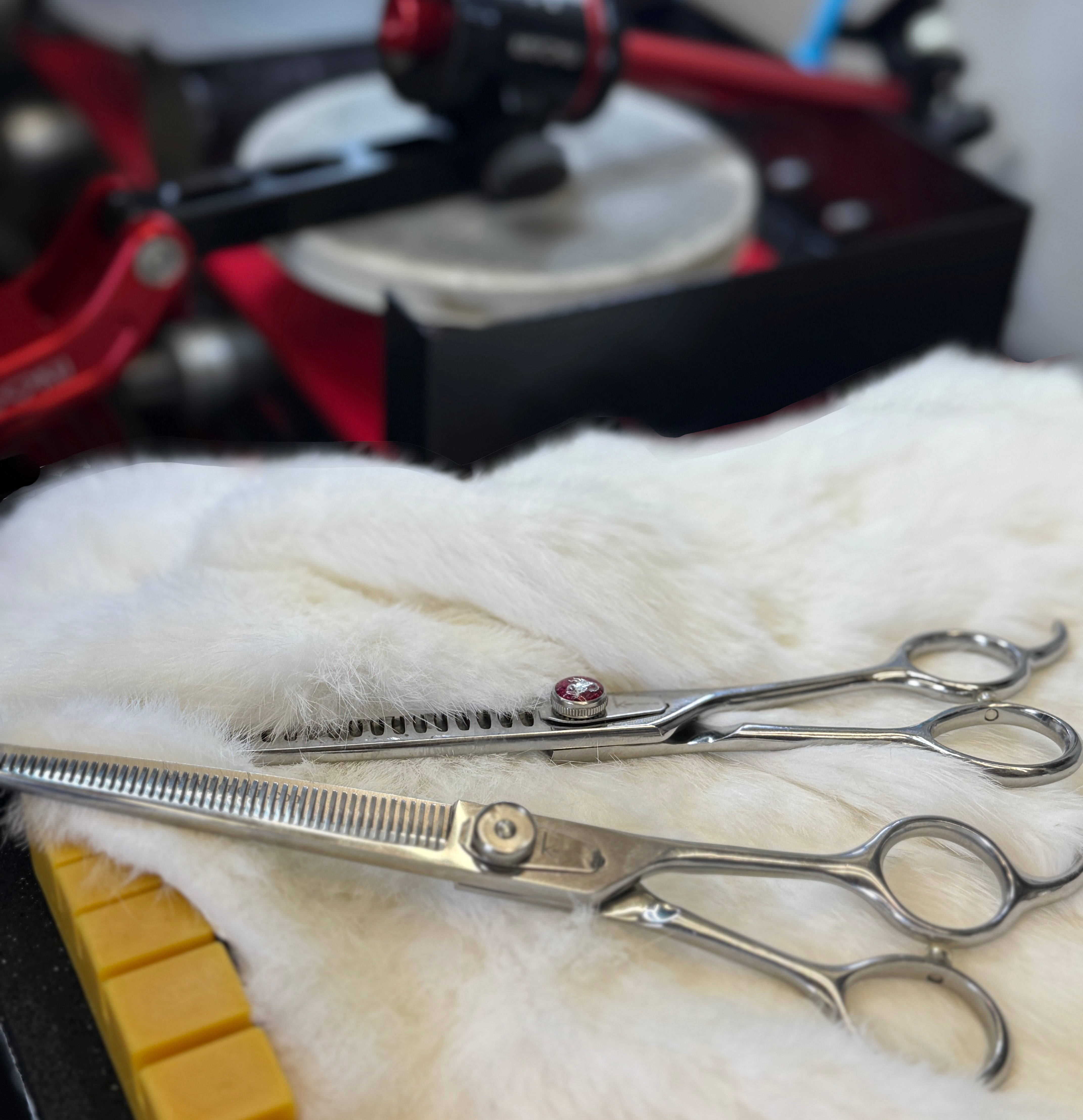 Shear Sharpening- Foxy Roxy Shears